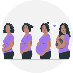 Image showing stages in pregnency