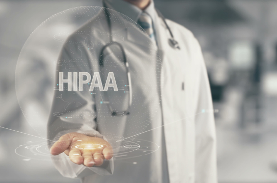 Hippa video